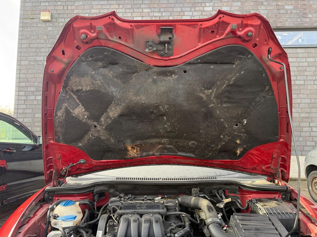 Seat Leon 1P original Motorhaube LS3X Rojo Rubi BJ06